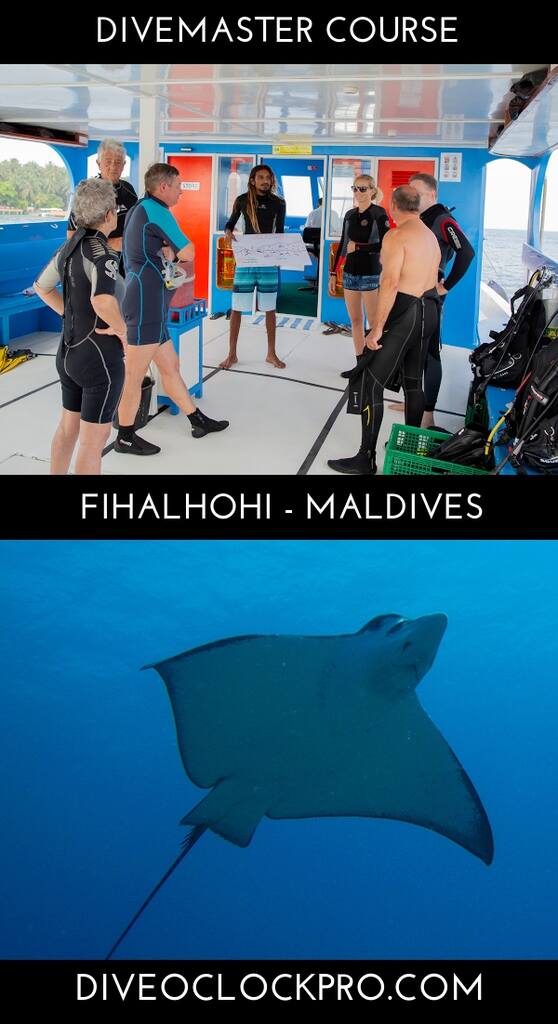 PADI Divemaster - Fihalhohi Island Resort -  South Male Atoll,20026,Republic of Maldives - Maldives