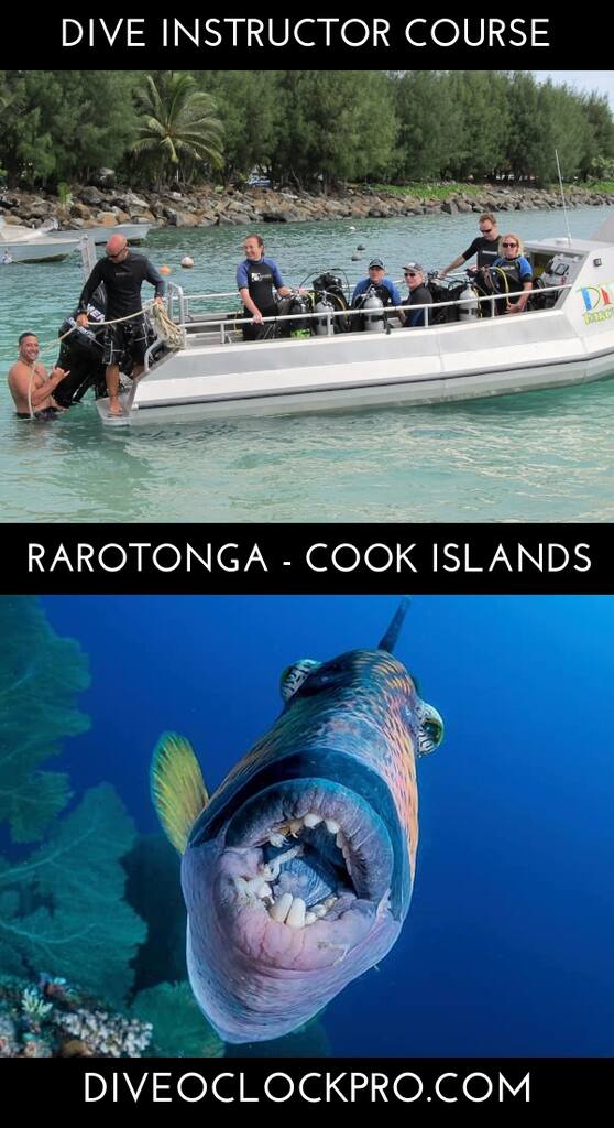 PADI Dive Instructor Course  - Rarotonga - Cook Islands