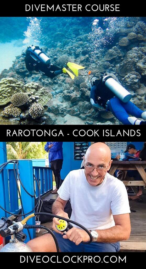 PADI Divemaster Course Dive Master internships  - Rarotonga - Cook Islands