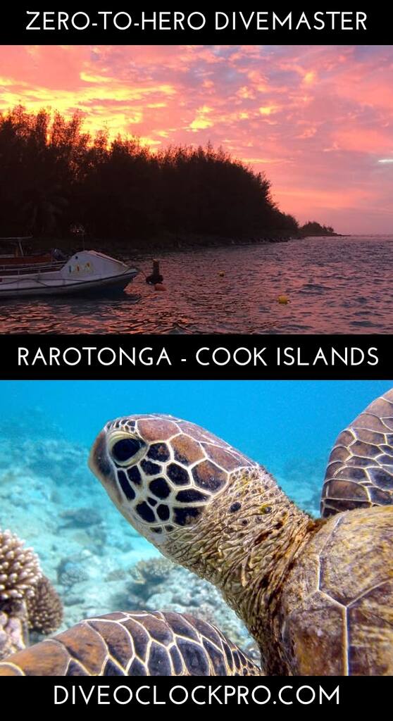 PADI Divemaster Course Zero to hero Dive Master internships  - Rarotonga - Cook Islands