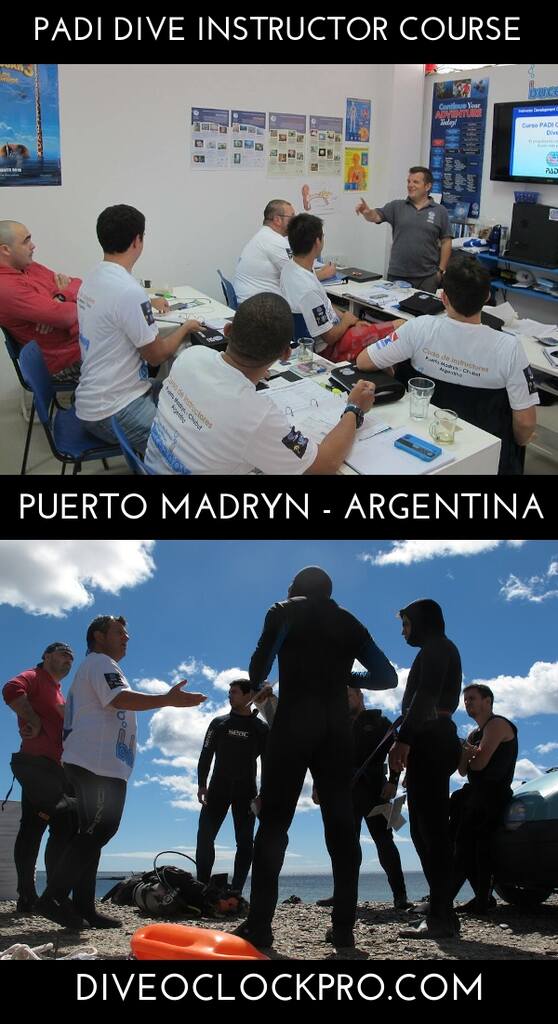 PADI Instructor Development Course at Patagonia - ELITE - Puerto Madryn - Argentina