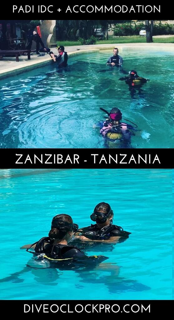 PADI IDC Package (IDC &EFRI) - Accommodation Included- (book early and get 2 free specialty instructor courses) - Zanzibar - Tanzania