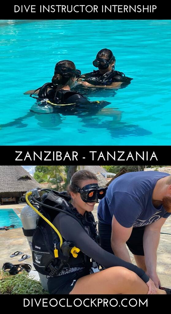 Zero to Hero PADI Dive Instructor Internship - Zanzibar - Tanzania