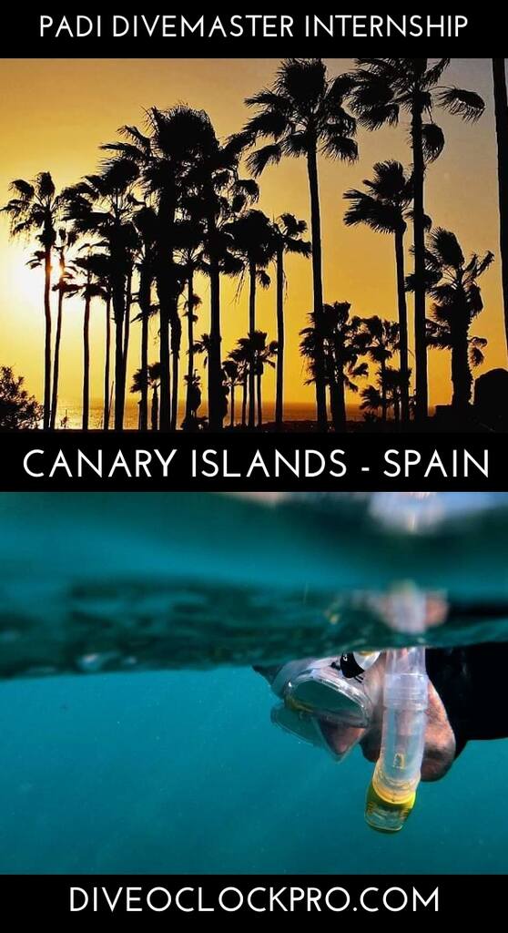 PADI 4 Week Divemaster Internship - Las Palmas de Gran Canaria - Spain
