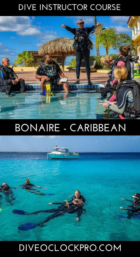 PADI Instructor Development Course  - Bonaire - Caribbean Netherlands
