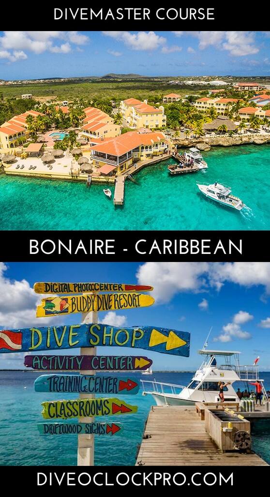 PADI Divemaster Course Dive Master course - Bonaire - Caribbean Netherlands