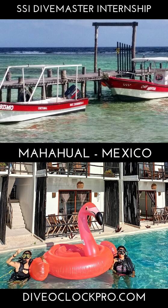 SSI Divemaster Course Dive master Internship - Mahahual - Mexico