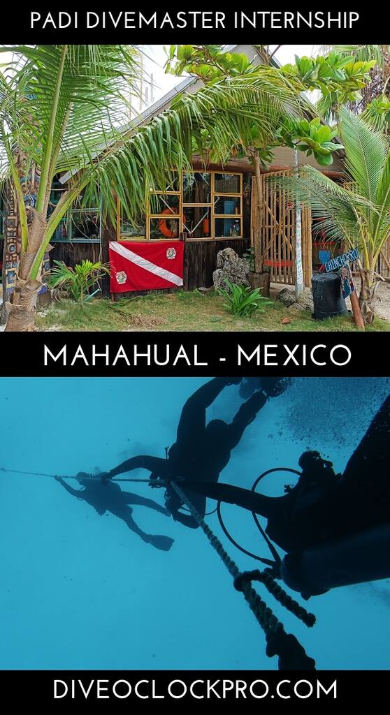 PADI Divemaster Course Dive master internship - Mahahual - Mexico