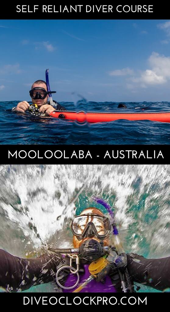 PADI Self Reliant Diver Course - Mooloolaba - Australia