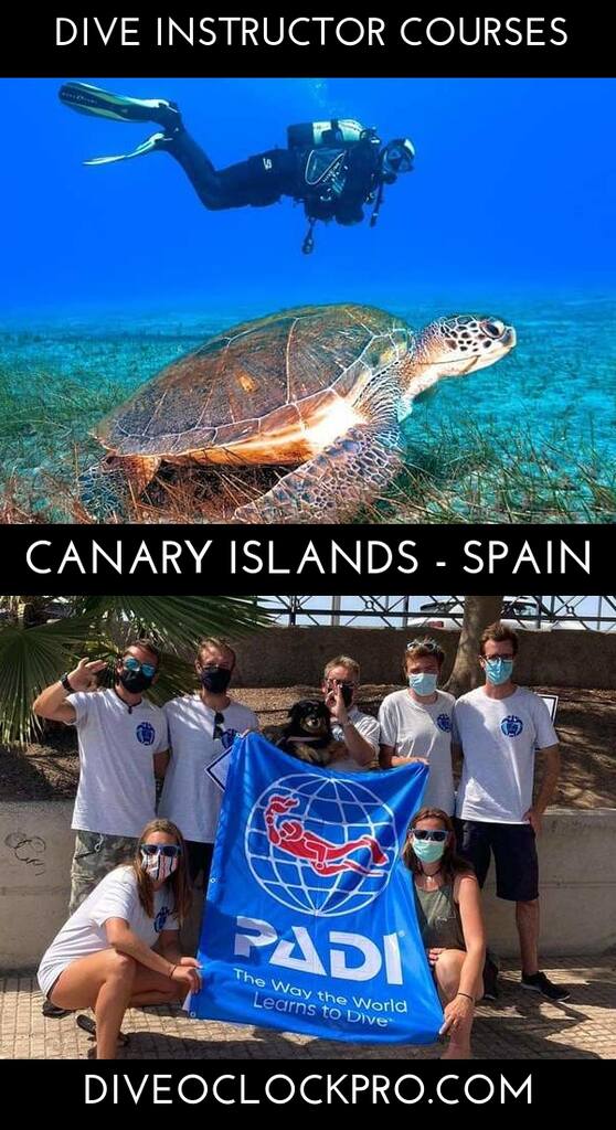 PADI Dive Instructor Course with FREE accommodation  - Costa Adeje, Tenerife, Canary Islands - Spain