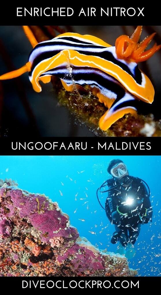SSI ENRICHED AIR NITROX - You & Me, Uthurumaafaru, Ungoofaaru - Maldives
