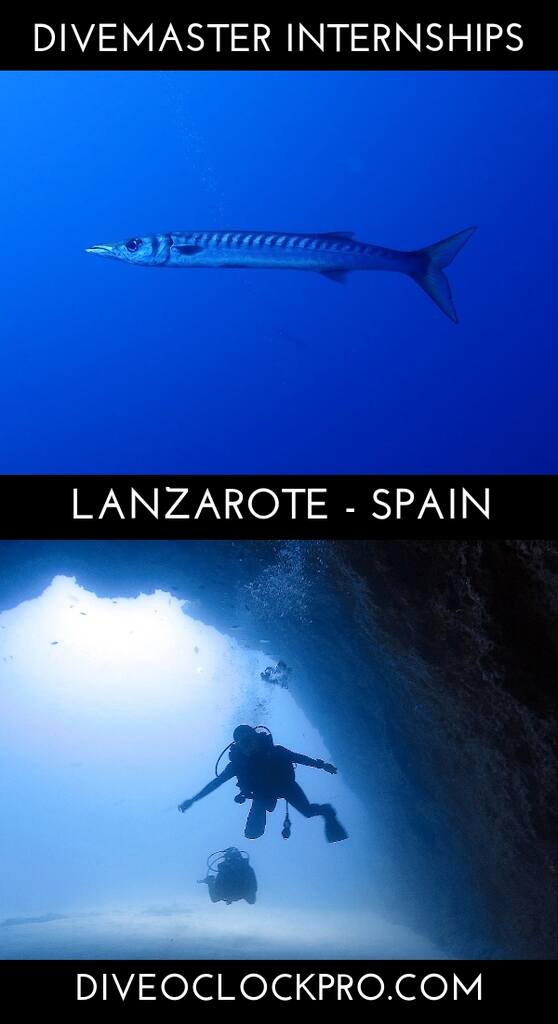SSI DIVEMASTER INTERNSHIP - Lanzarote - Spain