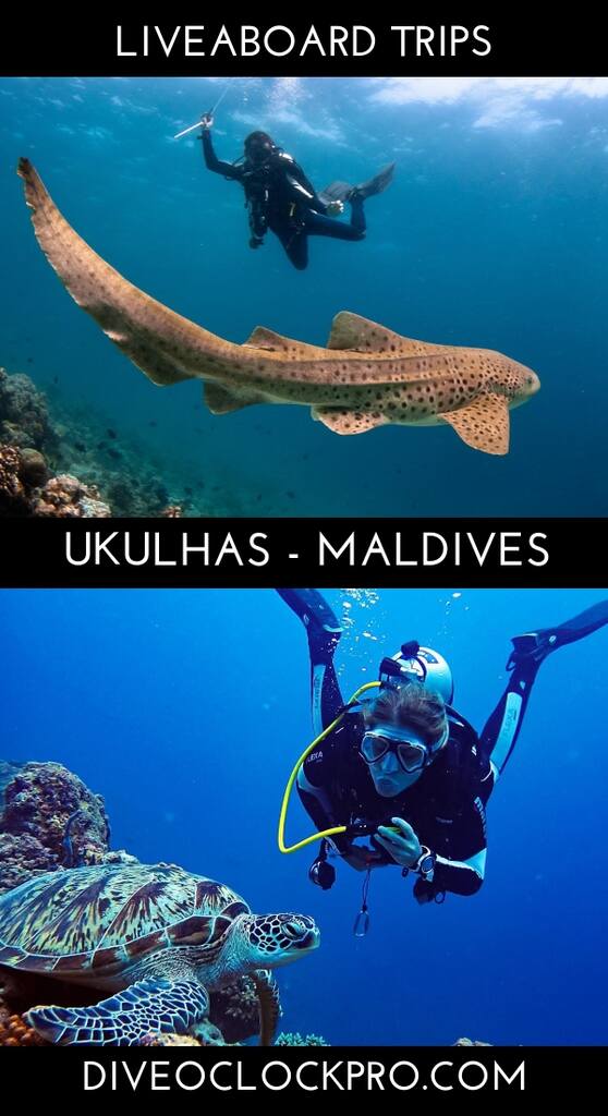 SSI LIVEABOARDS TRIPS AROUND MALDIVES - Ukulhas - Maldives