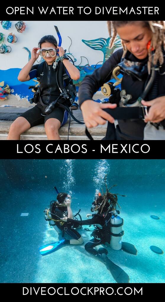 PADI Ocean Warrior Package : Open Water through Divemaster - Cabo San Lucas - Mexico