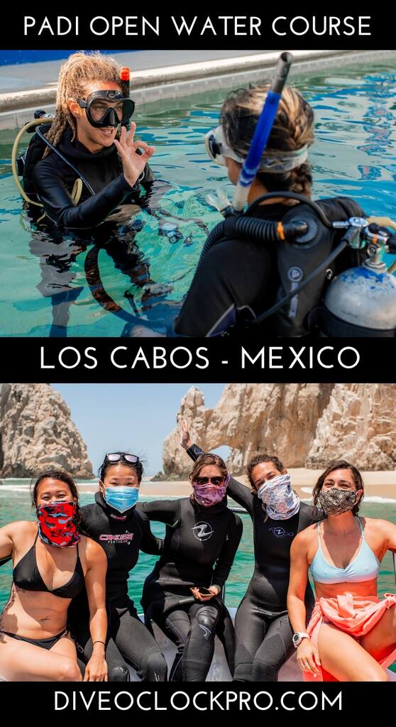 PADI Open Water Diver - Cabo San Lucas - Mexico