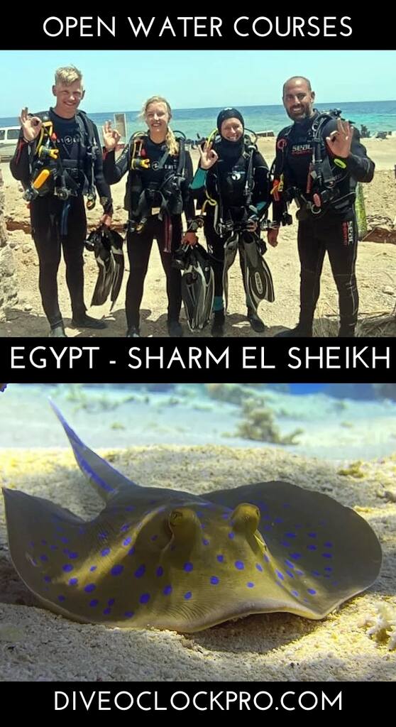 PADI Open Water Diver - Sharm Al Shiekh - Egypt