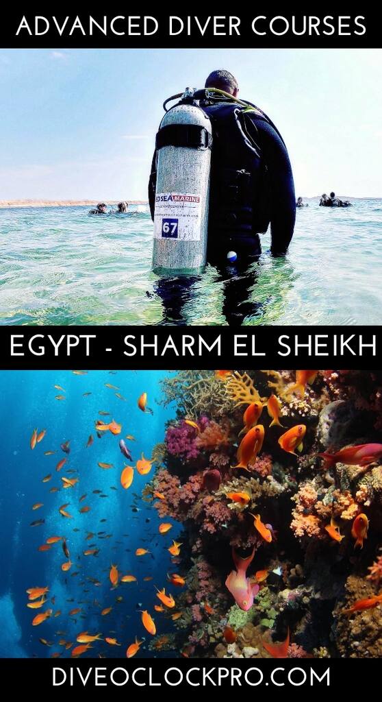 PADI Advanced Open Water - Sharm Al Shiekh - Egypt