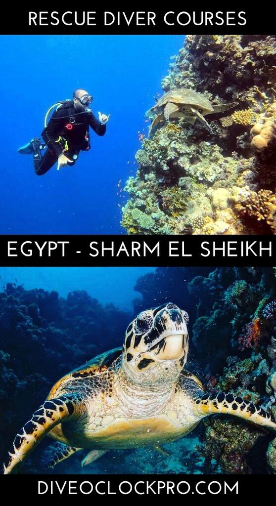 PADI Rescue Diver Course - Sharm Al Shiekh - Egypt