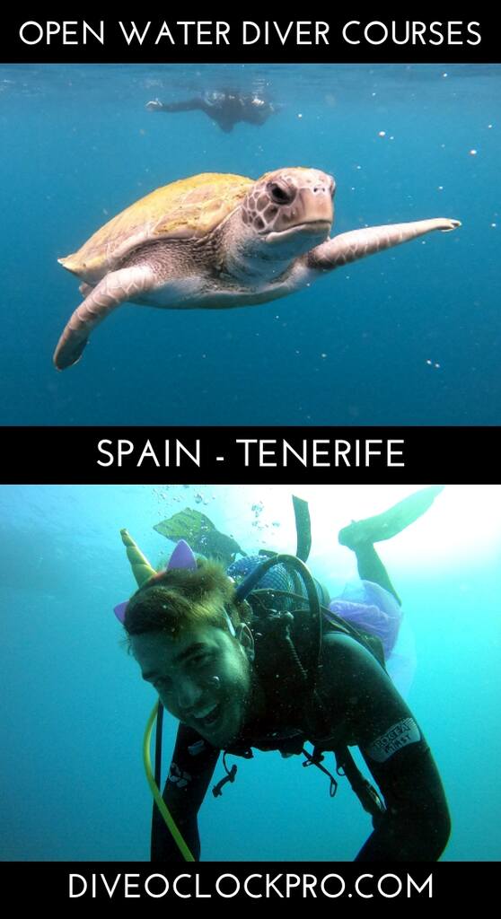 PADI Open Water Diver - Santa Cruz de Tenerife - Spain