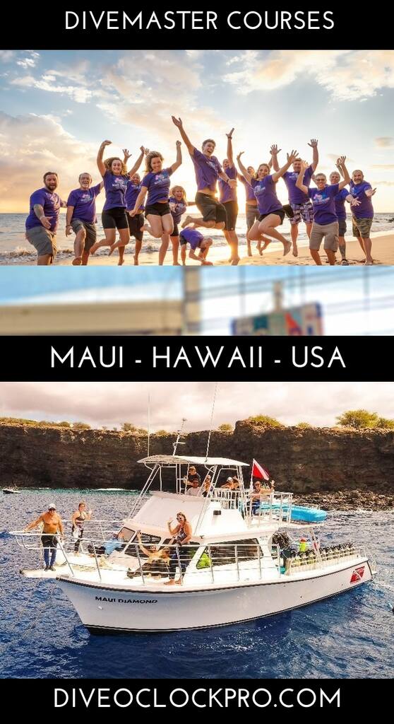 PADI Divemaster Course - Maui County - United States