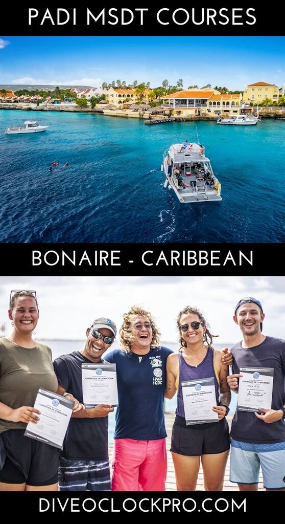 PADI Master Scuba Diver Trainer - Bonaire - Caribbean Netherlands