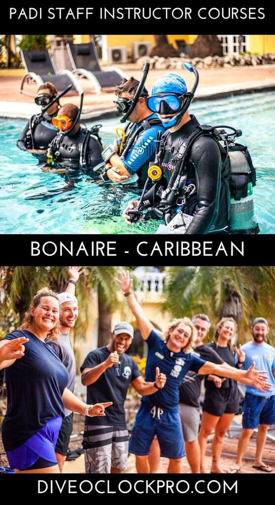 PADI IDC Staff Instructor  - Bonaire - Caribbean Netherlands