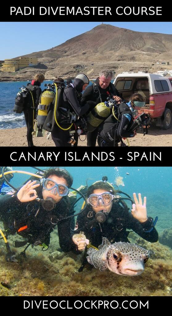 PADI Divemaster Course - Gran Canaria - Spain