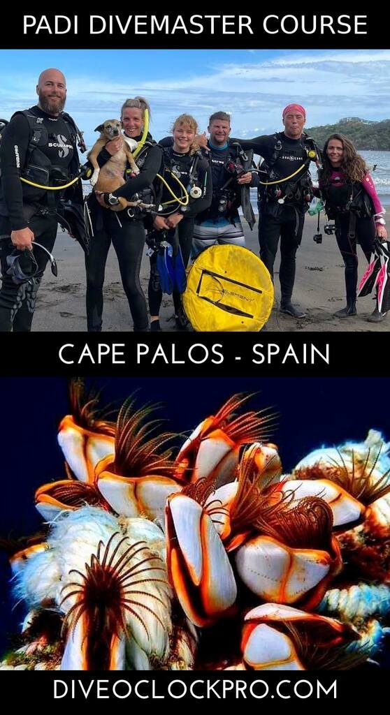 PADI Divemaster Course in Spain - Cape Palos - Spain