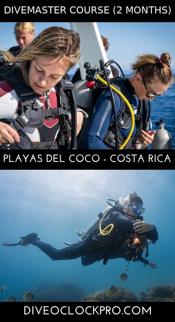 PADI Divemaster Program (2 months) - Playas del Coco, Guanacaste - Costa Rica