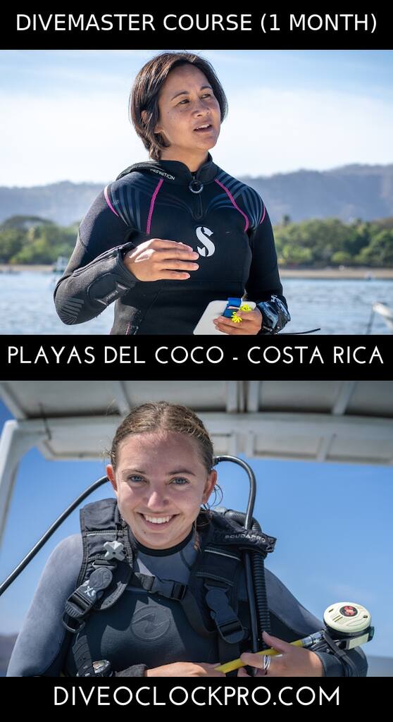 PADI Divemaster Program (1 month) - Playas del Coco, Guanacaste - Costa Rica