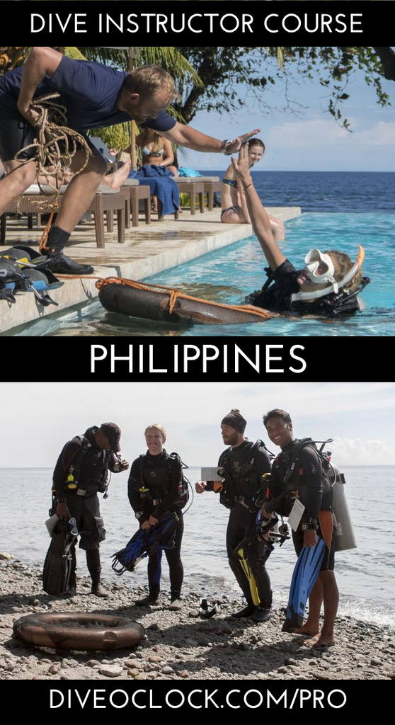 PADI 5* IDC with EFR Instructor Course - Dauin - Philippines