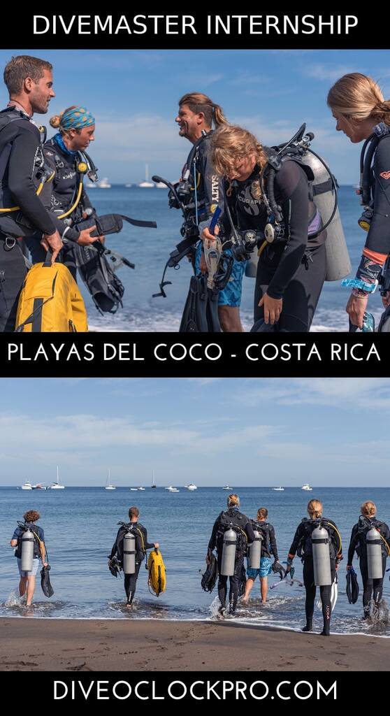 PADI Divemaster Internship - Playas del Coco - Costa Rica