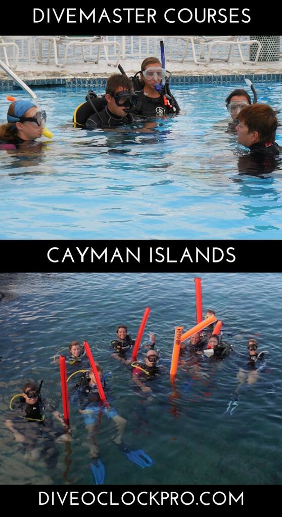 PADI Divemaster Course - Grand Cayman - Cayman Islands