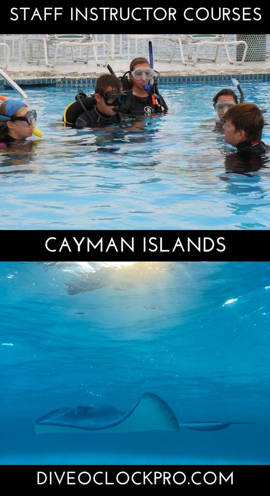 PADI Staff Instructor - Grand Cayman - Cayman Islands