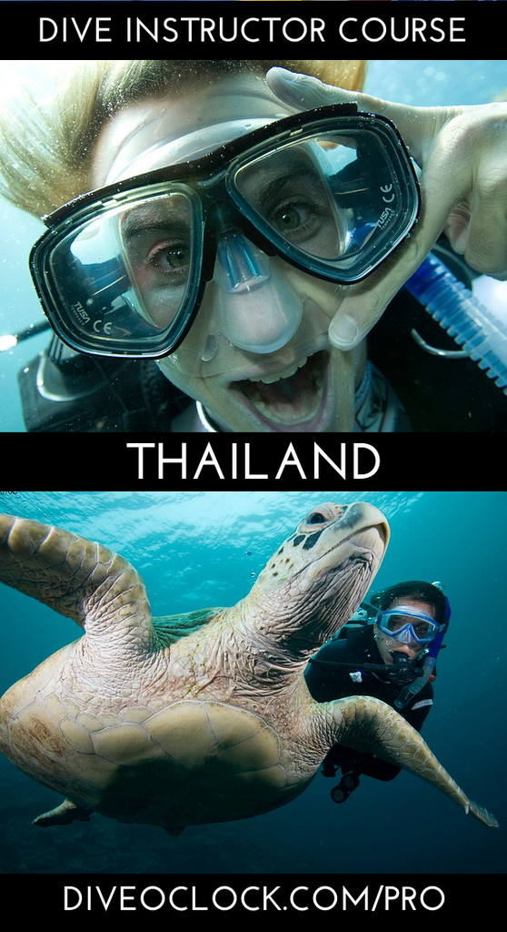 PADI Instructor Course Go Pro A - Phuket - Thailand