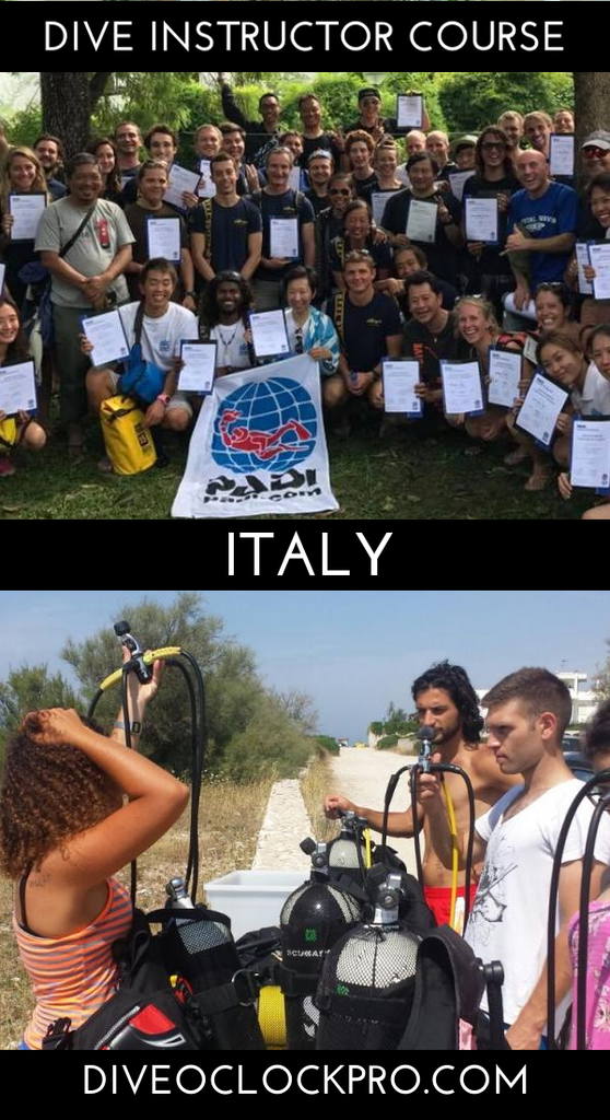 Instructor Course PADI IDC - Silver - PORTO CESAREO - Protected Marine Area - Italy