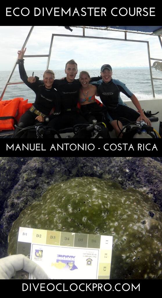 PADI Eco Divemaster - Manuel Antonio - Costa Rica