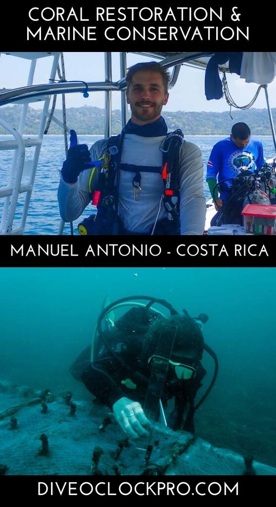 PADI Coral Restoration and Marine Conservation - Manuel Antonio - Costa Rica
