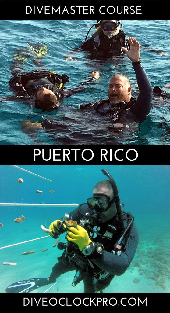 PADI DIVEMASTER - Fajardo - Puerto Rico