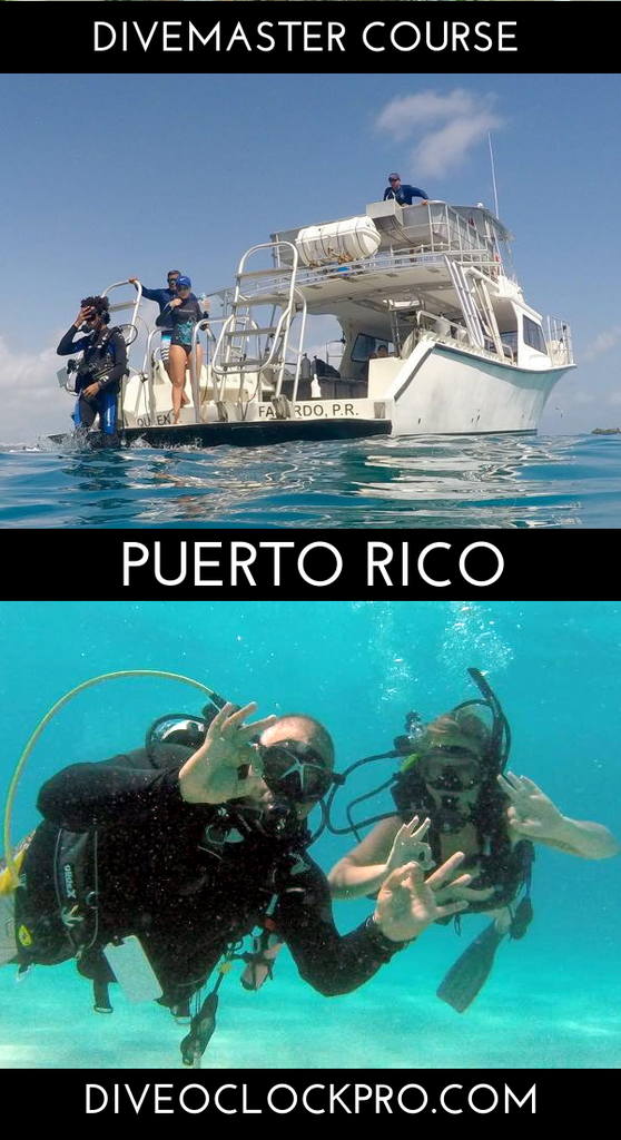 PADI Instructor Course GO PRO - Fajardo - Puerto Rico