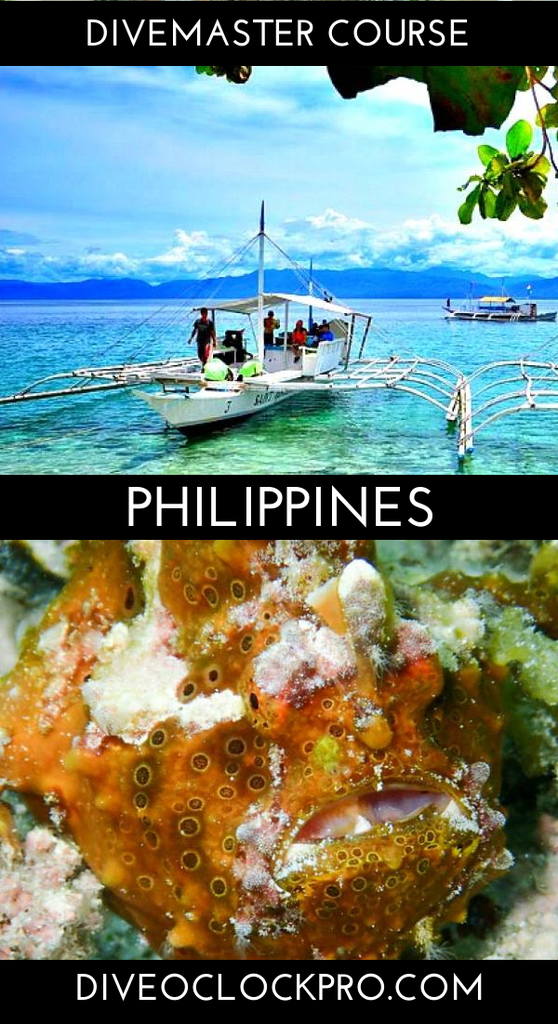 PADI Divemaster - Moalboal - Philippines