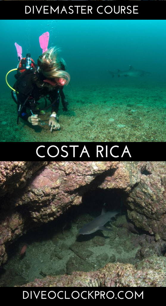 PADI Marine Conservation Divemaster - Playas del Coco, Guanacaste - Costa Rica