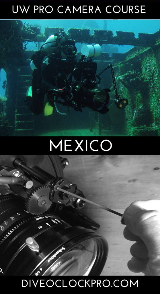 PADI *THE PROFESSIONAL UNDERWATER CAMERA OPERATOR* COURSE & CERTIFICATION  - Cozumel - Mexico