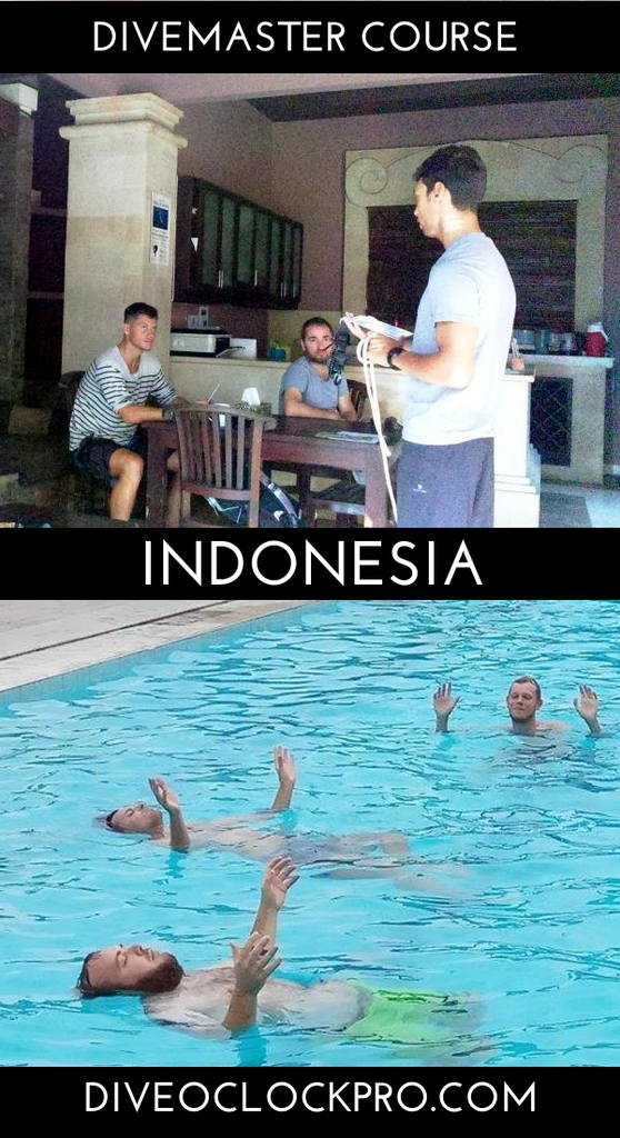 PADI Divemaster internship - Sanur - Indonesia