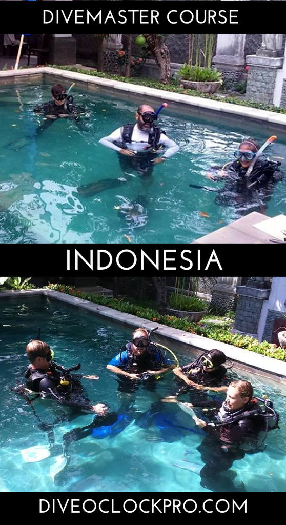 PADI Zero-to-Hero Divemaster - Sanur - Indonesia
