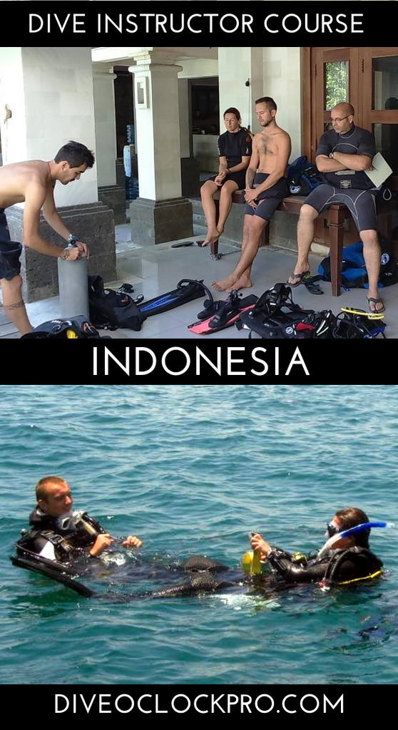 PADI Instructor Course IDC Platinum 8 specialties with EFRI - Sanur - Indonesia