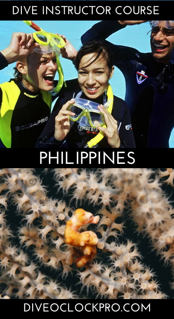 PADI Divemaster  - Moalboal - Philippines
