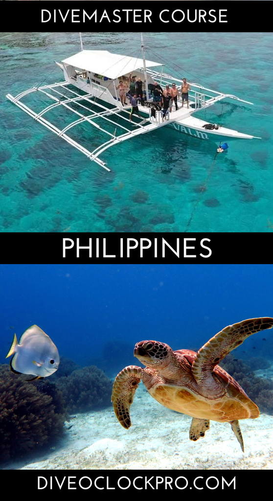 SSI Divemaster Internship - Panglao - Philippines