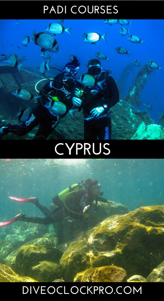 PADI courses in Paphos - Paphos - Cyprus