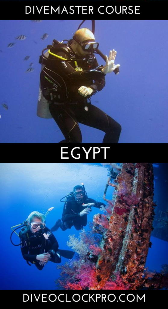 PADI Divemaster Course - Hurghada - Egypt